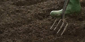 Soils & Garden Mixes