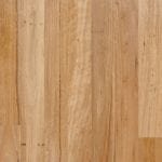 Australian Beech