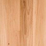 Blackbutt