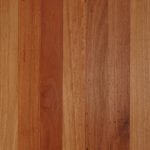 Flooded (Rose) Gum