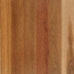 Grey Ironbark