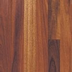 Spotted Gum